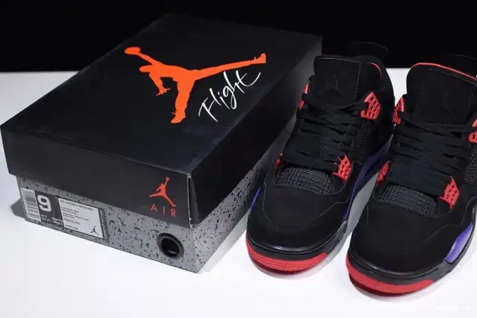 Reps TB 4 Retro Air NRG Raptors